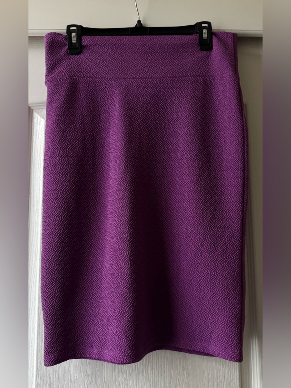 Purple Textured A-Line Skirt